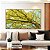 Quadro Horizontal Árvore com Folhas Verde Claro e Céu Limpo Turquesa Arte Canvas Moldura - Imagem 4
