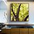 Quadro Quadrado Floresta Árvores Folhas Verdes e Claridade do Sol Arte Canvas Moldura - Imagem 1