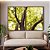 Duo de Quadros Floresta Árvores Folhas Verdes e Claridade do Sol Arte Canvas Moldura - Imagem 4