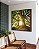 Quadro Quadrado Árvores da Vida Sob a Luz do Sol Natureza Arte Canvas Moldura - Imagem 1