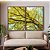 Duo de Quadros Árvore com Folhas Verde Claro e Céu Limpo Turquesa Arte Canvas Moldura - Imagem 4