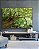 Quadro Horizontal Copa de Árvore Folhagem Verde Viva Paisagem Canvas Moldura - Imagem 5