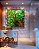 Quadro Quadrado Copa de Árvore com Folhagem Verde Viva Paisagem Canvas Moldura - Imagem 5