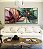 Trio de Quadros Flores Delicadas Abstratas Rosa Verde Dourado Canvas Moldura - Imagem 4