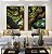 Duo de Quadros Árvore Tronco Galhos Folhas Verdes Natureza Canvas Moldura - Imagem 5