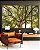 Trio de Quadros Estilizados Copa de Árvore Céu Claro Natureza Canvas Moldura - Imagem 2