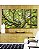 Trio de Quadros Estilizados Copa de Árvore Galhos Folhas Verde Vivo Natureza Canvas Moldura - Imagem 1