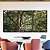 Trio de Quadros Floresta Copa de Árvore Folhas Verdes Natureza Canvas Moldura - Imagem 5