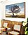 Quadro Horizontal Árvore Banco Céu Azul e Luzes do Sol Paisagem Canvas Moldura - Imagem 2