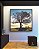Quadro Quadrado Árvore Banco Céu Azul e Luzes do Sol Paisagem Canvas Moldura - Imagem 4