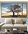 Trio de Quadros Estilizados Árvore Banco Céu Azul e Luzes do Sol Paisagem Canvas Moldura - Imagem 5