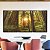 Trio de Quadros Floresta Árores Luzes do Sol Natureza Canvas Moldura - Imagem 5