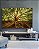 Quadro Horizontal Árvore Folhas Raízes Natureza Imponente Canvas Moldura - Imagem 1