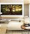 Trio de Quadros Árvore em Floresta e Luzes do Sol Natureza Canvas Moldura - Imagem 4