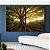 Duo de Quadros Árvore em Floresta e Luzes do Sol Natureza Canvas Moldura - Imagem 5