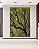 Quadro Vertical Copa de Árvore Céu Azul Turquesa Natureza Canvas Moldura - Imagem 3