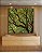 Quadro Quadrado Copa de Árvore Céu Azul Turquesa Natureza Canvas Moldura - Imagem 1
