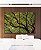 Duo de Quadros Copa de Árvore Céu Azul Turquesa Natureza Canvas Moldura - Imagem 5