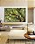 Quadro Horizontal Copa de Árvore Natureza Paisagem Canvas Moldura - Imagem 5