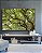 Quadro Horizontal Copa de Árvore Natureza Paisagem Canvas Moldura - Imagem 3