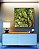 Quadro Quadrado Copa de Árvore Natureza Paisagem Canvas Moldura - Imagem 2