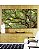Trio de Quadros Estilizados Copa de Árvore Natureza Paisagem Canvas Moldura - Imagem 4