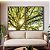 Duo de Quadros Árvore Folhas Verdes Reflexos do Sol Paisagem Canvas Moldura - Imagem 3