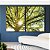 Duo de Quadros Árvore Folhas Verdes Reflexos do Sol Paisagem Canvas Moldura - Imagem 1