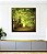 Quadro Quadrado Caminho Entre Árvores Floresta Natureza Canvas Moldura - Imagem 5