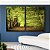 Duo de Quadros Caminho Entre Árvores Floresta Natureza Canvas Moldura - Imagem 5