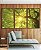 Trio de Quadros Árvore Folhas Verdes Luzes do Sol Céu de Floresta Canvas Moldura - Imagem 5