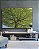Quadro Horizontal Natureza Árvore de Folhas Verdes Paisagem Canvas Moldura - Imagem 5