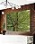 Duo de Quadros Natureza Árvore de Folhas Verdes Paisagem Canvas Moldura - Imagem 3