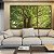 Trio de Quadros Árvores Folhas Verdes Natureza Paisagem Canvas Moldura - Imagem 5