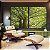 Duo de Quadros Árvores Folhas Verdes Natureza Paisagem Canvas Moldura - Imagem 1