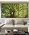 Trio de Quadros Estilizados Árvores Folhas Verdes Natureza Paisagem Canvas Moldura - Imagem 5