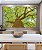 Quadro Horizontal Árvore Luz Natural Folhas Verdes Canvas Moldura - Imagem 2