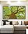 Quadro Horizontal Árvore Luz Natural Folhas Verdes Canvas Moldura - Imagem 3