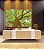 Quadro Horizontal Árvore Luz Natural Folhas Verdes Canvas Moldura - Imagem 4