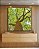 Quadro Quadrado Árvore Luz Natural Folhas Verdes Canvas Moldura - Imagem 5