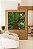 Quadro Quadrado Árvore Folhas Verde Floresta Paisagem Canvas Moldura - Imagem 1