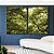 Duo de Quadros Natureza Folhas Verdes Árvores Floresta Paisagem Canvas Moldura - Imagem 1