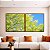 Duo de Quadros Quadrados Árvore Acácia-branca Céu Azul Natureza Canvas Moldura - Imagem 2