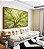 Quadro Horizontal Paisagem Copa de Árvore Folhas Verde Canvas Moldura - Imagem 3