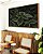 Quadro Horizontal Pilea Planta da Amizade Folhas Verdes Natureza Canvas Moldura - Imagem 3