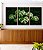 Trio de Quadros Plantas Costela de Adão Natureza Verde Paisagem Canvas Moldura - Imagem 2