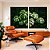 Duo de Quadros Plantas Costela de Adão Natureza Verde Paisagem Canvas Moldura - Imagem 5