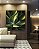 Quadro Quadrado Planta Agave-Dragão Folhas Verdes Natureza Canvas Moldura - Imagem 2