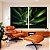 Duo de Quadros Planta Agave-Dragão Folhas Verdes Natureza Canvas Moldura - Imagem 5