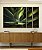 Trio de Quadros Estilizados Planta Agave-Dragão Folhas Verdes Natureza Canvas Moldura - Imagem 3